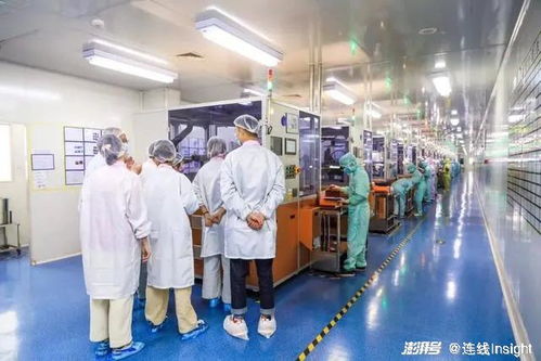 業績向好，股價卻下跌 新消費‘第一股’們怎么了？